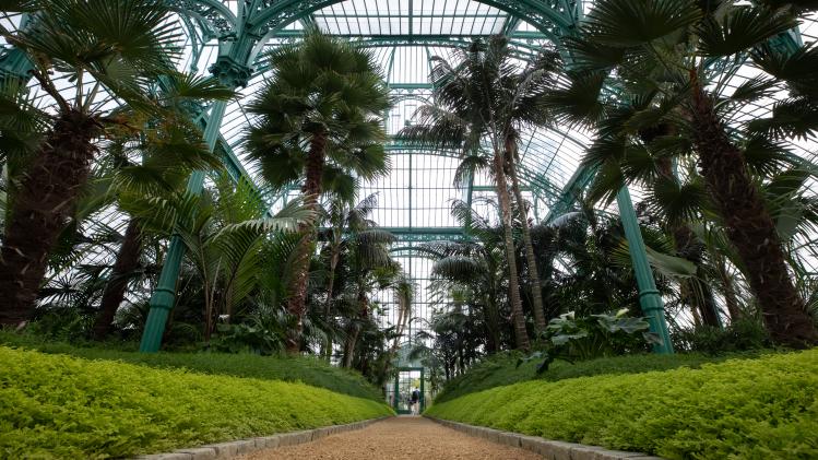 ROYAL CASTLE GREENHOUSE VSIT
